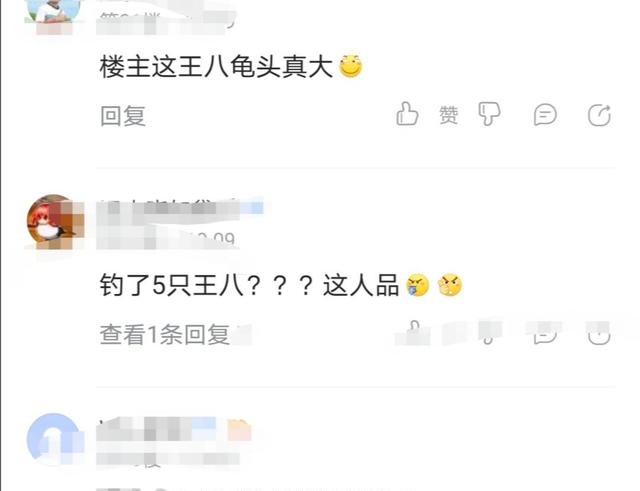 甲鱼|捅了甲鱼窝？浙江钓友连钓5只大甲鱼，什么饵这么好钓？