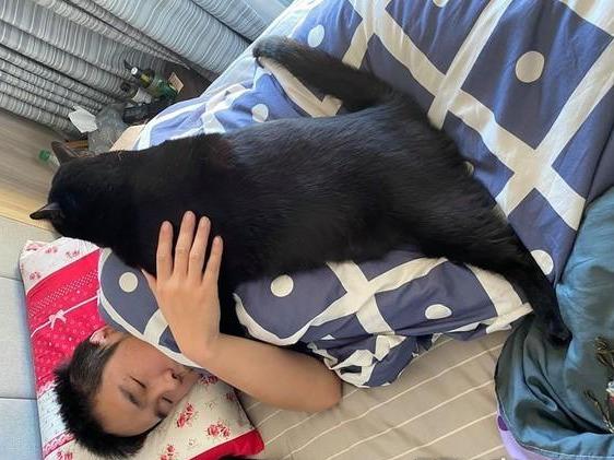 主人想要赖床，家里猫咪用自己十几斤的身躯，用飞扑叫醒自家主人