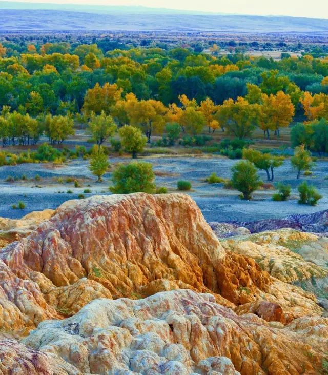 旅行|金秋若有十分美，九分在这里！再过10天，这里将成为中国最梦幻的地方。
