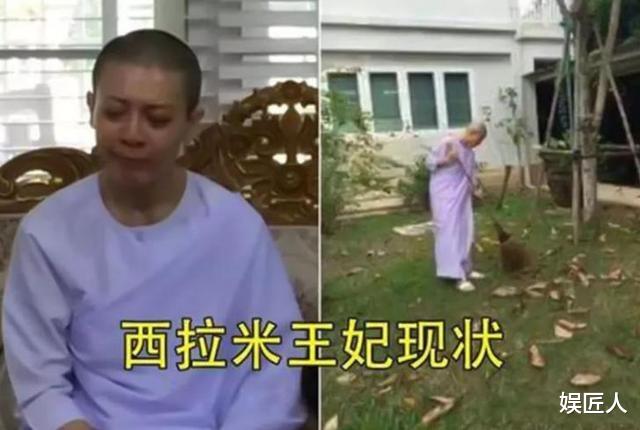 西拉米|诗妮娜回归成功,倾城王妃西拉米见到了希望?没那么简单