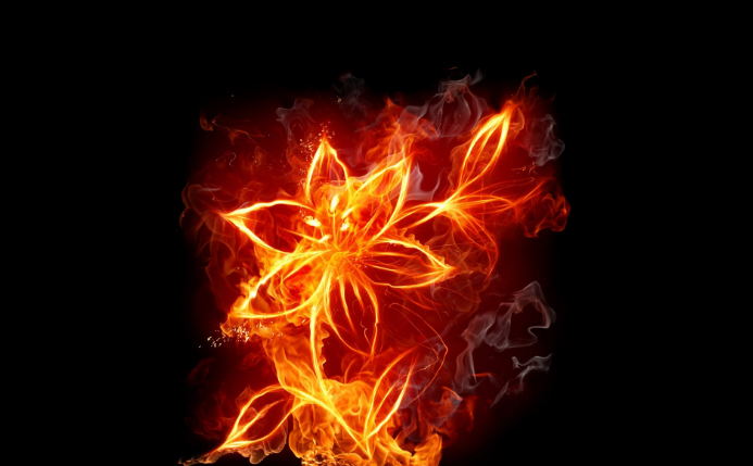 「科学家」火到底是什么？为什么连科学家都解释不清楚？答案其实很简单