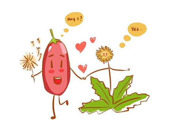 「肝脏」想要养护肝脏，远离“肝癌”困扰，做好这5点