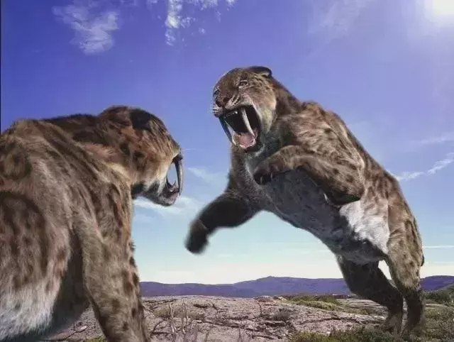 【】实事求是的说: 我们如今还能活着, 已经算是巨大的奇迹了