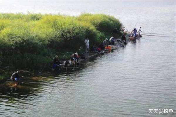 ##夏季野钓选钓点，找这5种地形，底下鱼儿成群，渔获轻松翻几倍！