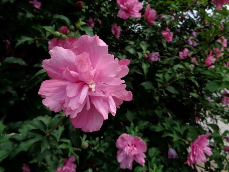 射手座|未来七天，喜遇真爱，至死不渝的4大星座