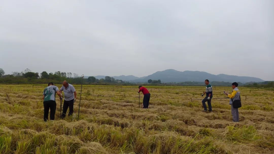 吴三桂|华容县出现“北斗七星”,传说是吴三桂所建?考古发现是史前文明