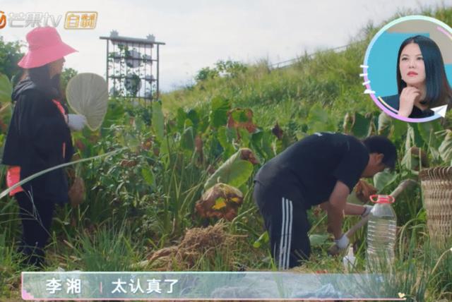 李湘|李湘，需要你好好解释一下了！