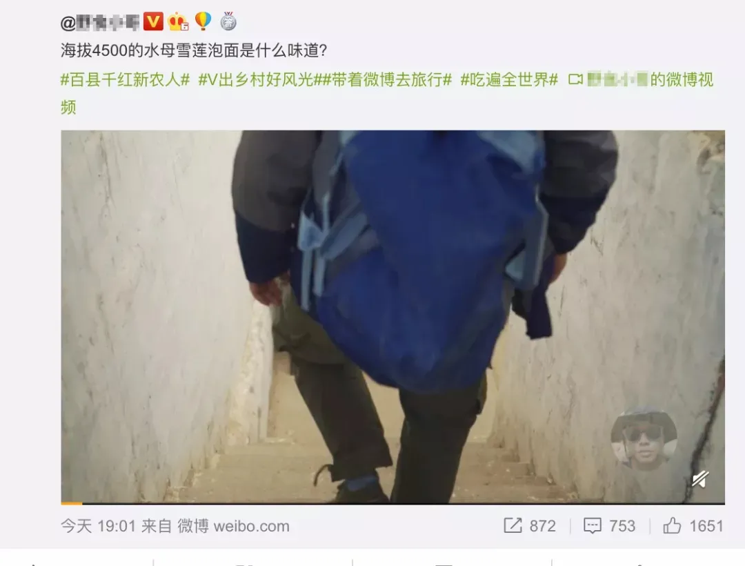 极限挑战|极限挑战节目组道歉了,可那颗雪兔子再也回不来了