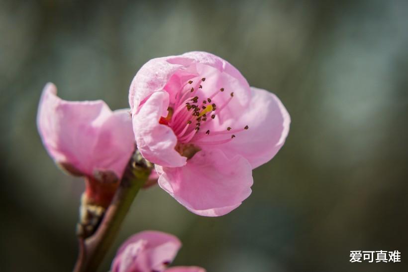 [属马]生肖马：未来1周，大奖必中，事业发达，无往不利