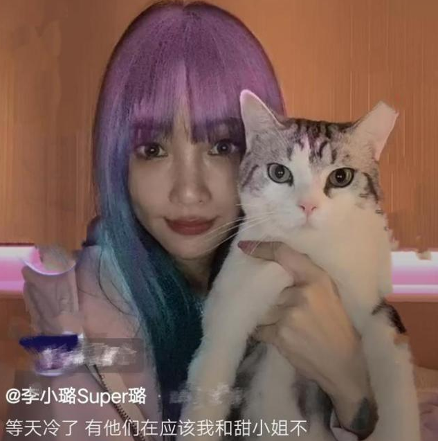 贾乃亮|贾乃亮和乔欣恋情被曝光?看到配文后,网友:李小璐复婚无望了