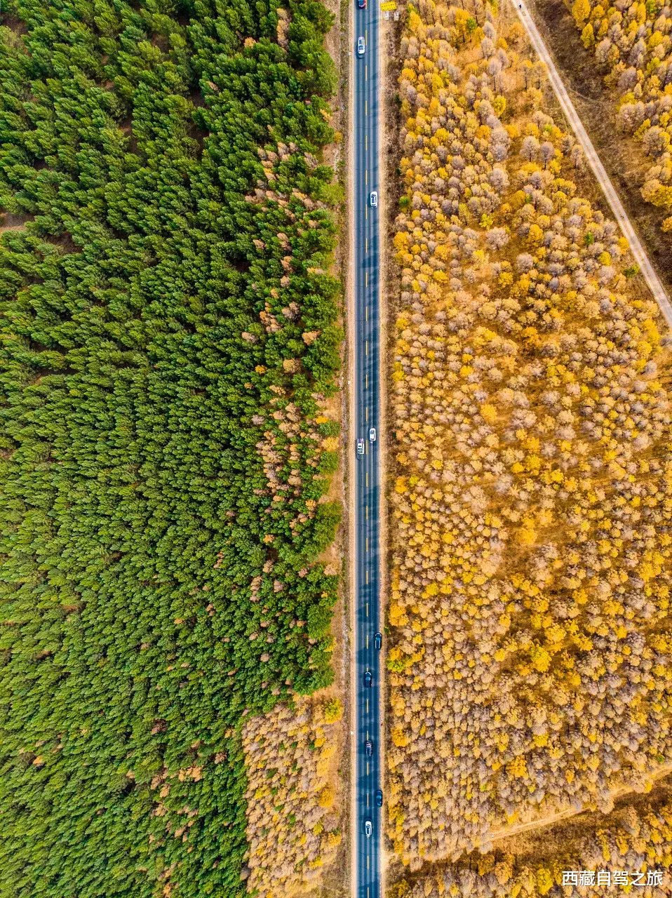 自驾|秋天最美的8条自驾路线！9月10月美成天堂，错过就要再等一年！