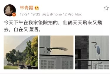 郑爽|郑爽豪宅被扒，暴露人性最大的恶