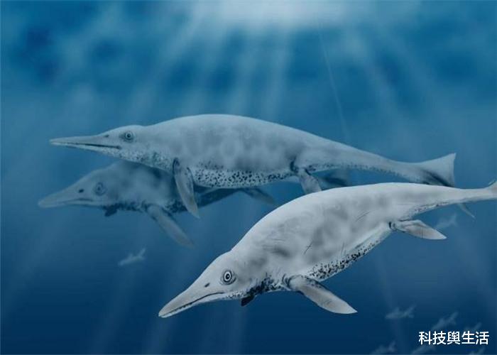 『邓氏鱼』它曾是海洋界的老大,幸亏淘汰了,不然人类无法踏足海洋!