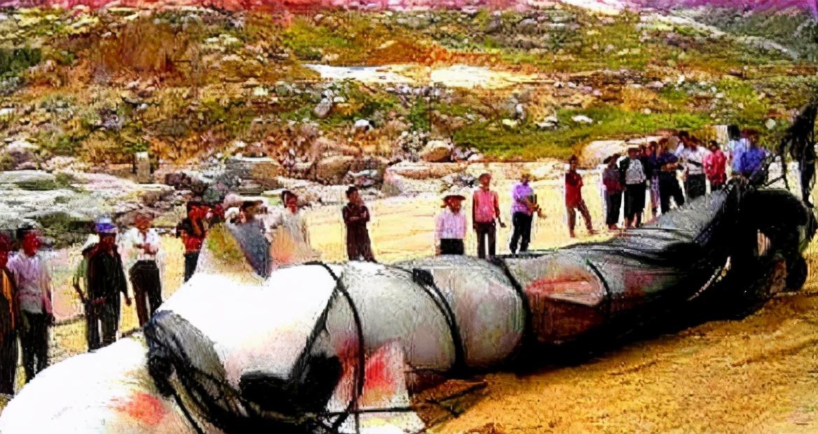 喀纳斯湖|新疆喀纳斯湖现巨型“水怪”？科学家捕捉2个月, 真捉到几条？