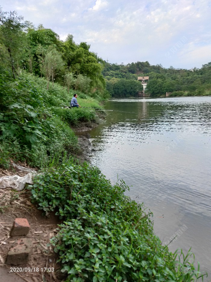 玉米|野钓流水应变得当才是王道