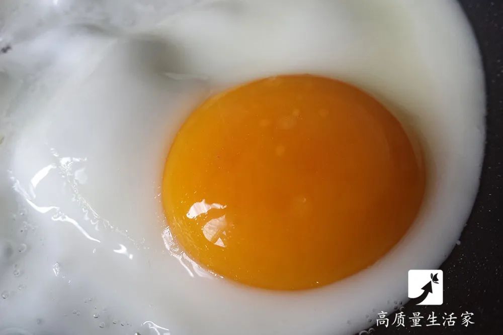 鸡蛋：胆固醇高不能吃鸡蛋？一天几个最好？鸡蛋虽好，吃错也会伤身