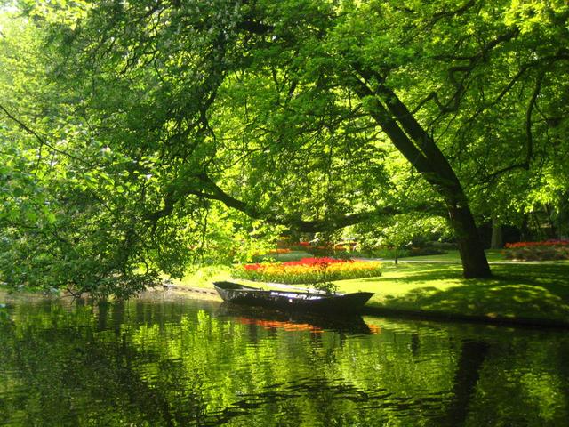 运势▲一切开始回归正轨，这3个生肖不发愁，是今年的幸运儿