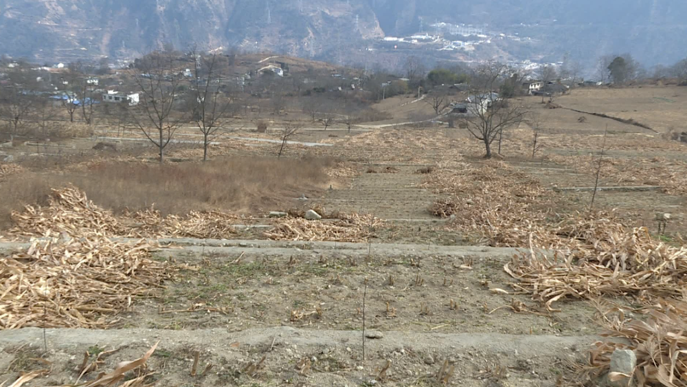 泸定之声 乡村振兴：返乡创业半高山，逐梦奋斗开局年