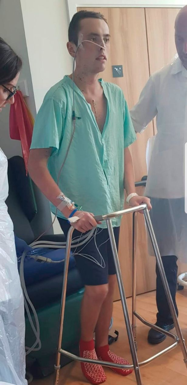 手中的铅笔|奇迹般的移植病人，接受了“放在盒子里活着”的器官后，迎来了梦寐以求的婚礼