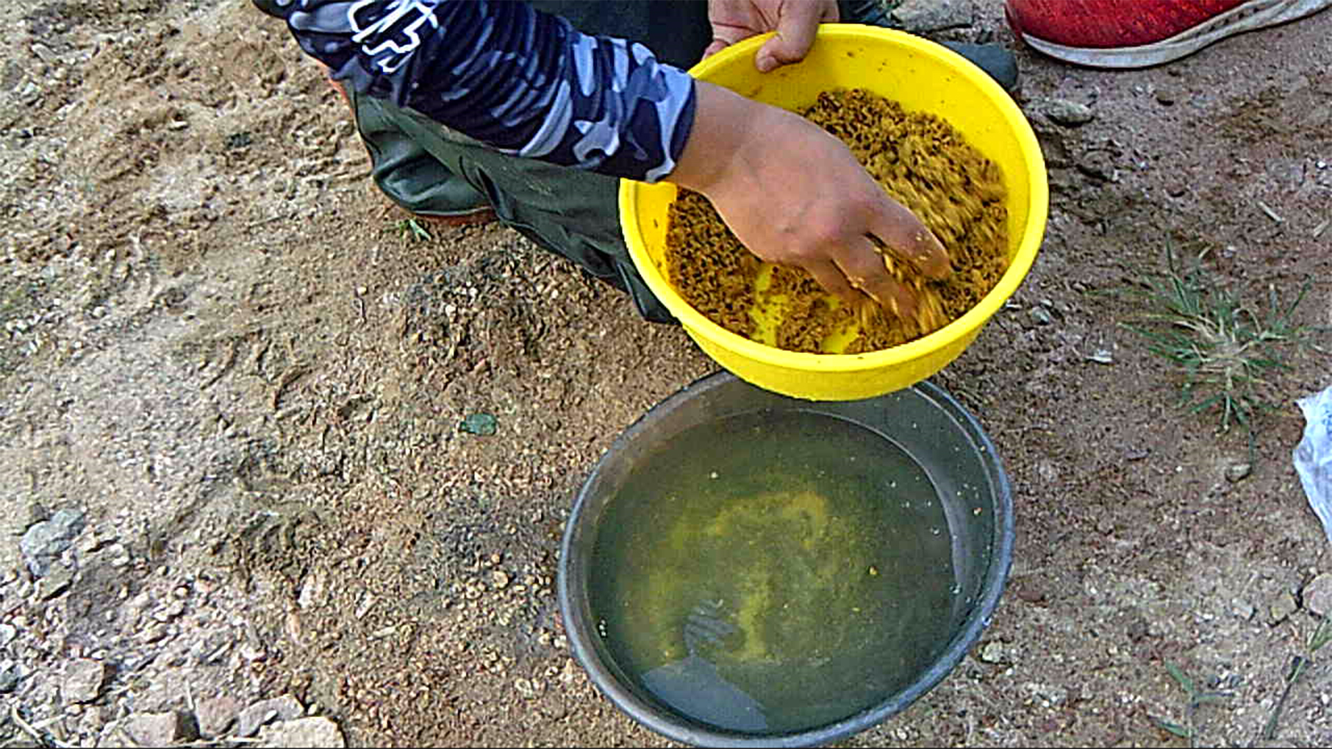 饵料|老师傅教的绝招，钓鱼必用，百试不爽