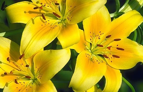 无忧无虑|从9月开始，4属相旺财旺福旺运，财源滚滚，日子无忧无虑