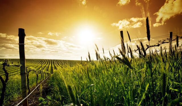 俗语“盖房不落断，落断无三代”中落断什么意思？这句话有何道理