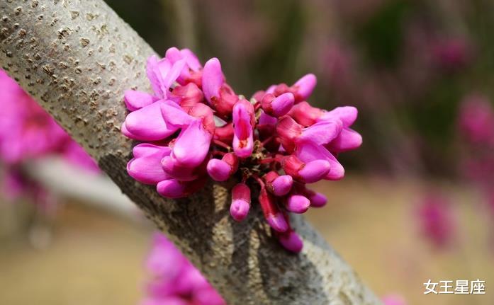 运势@7月3号运势大红大紫，正财上升，横财不断的生肖