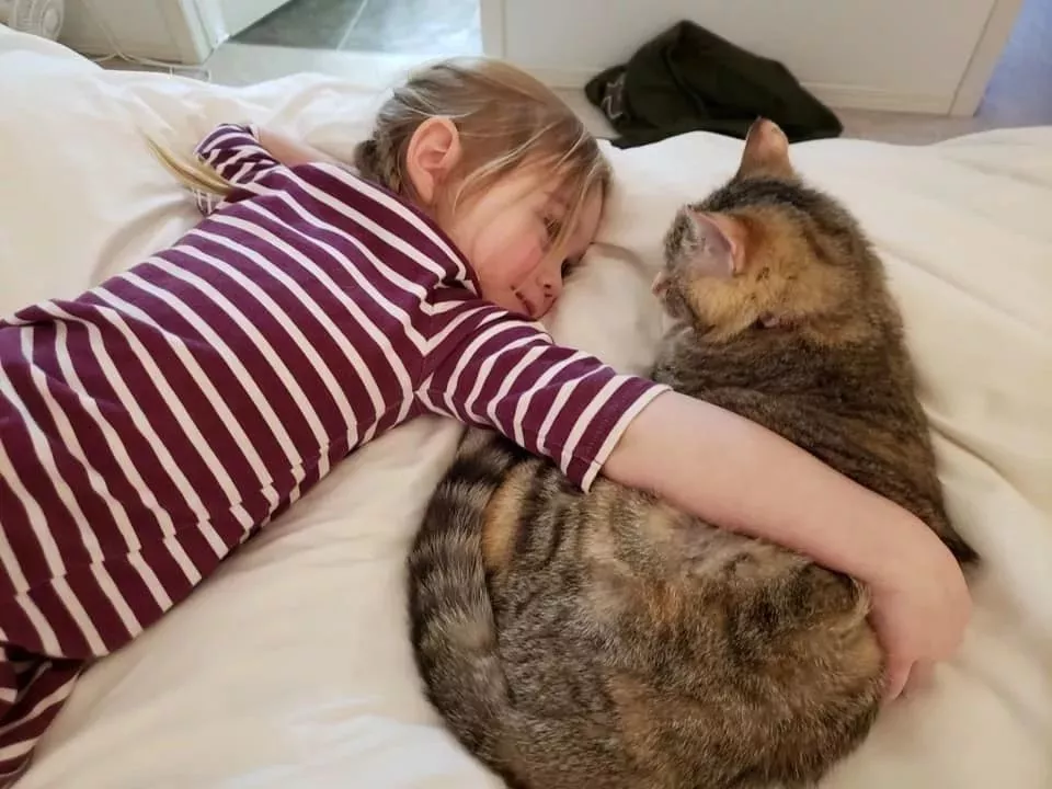 零下32度，流浪猫敲窗向消防员求救，结果...蛋蛋没了...