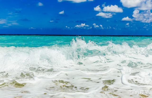 生肖|7月，不思量、自难忘，3生肖痴心等待，终于打动旧爱，旧情复燃