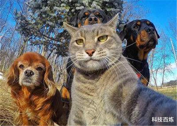 白垩纪|为何照镜子比拍照片好看?科学家:里面的你,并不是真正的你!