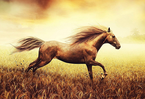 摩羯座：整个夏天，事业上升，财富倍增的三个星座