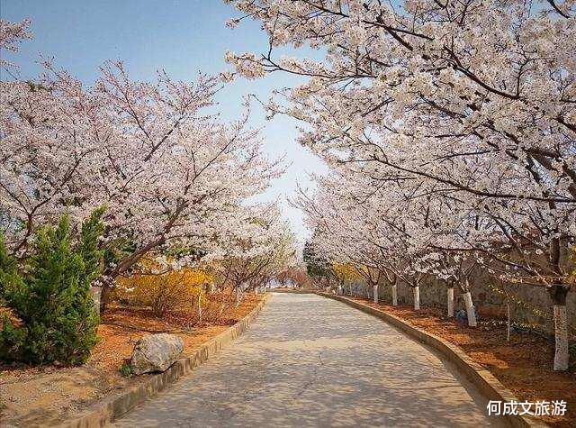 滨州 山东滨州一个“实力县”，现如今被“瞄上”，境内坐拥80多处景点