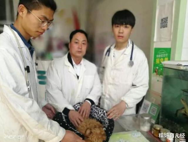 |专科不升本没前途？这4个“专科专业”就业率高，薪资不比本科差