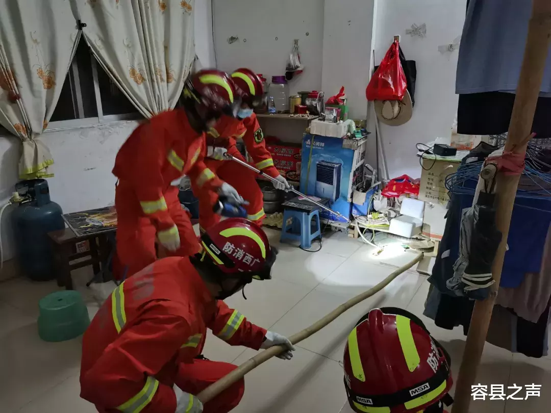 容县之声|广西一居民楼深夜溜进一条蛇，出动2辆消防车、12名消防员抓了！