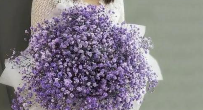 「生肖」这四个星座能言善辩，他们口才很好，与人争辩时相当厉害