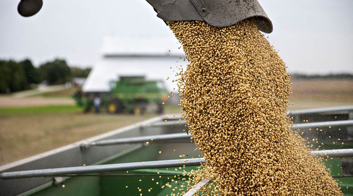 美國大豆對華出口破紀錄，美專傢：中國準備買光世界糧食-圖5