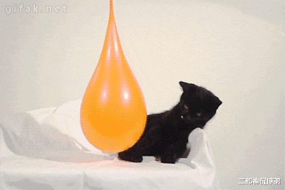 |“洗完摩托车在车底看到钢丝，是哪的零件？”哈哈哈见过这把么？