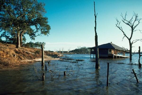 生物学家|五大人类历史上的昂贵失误！错的是人类，承担后果的却是它们！