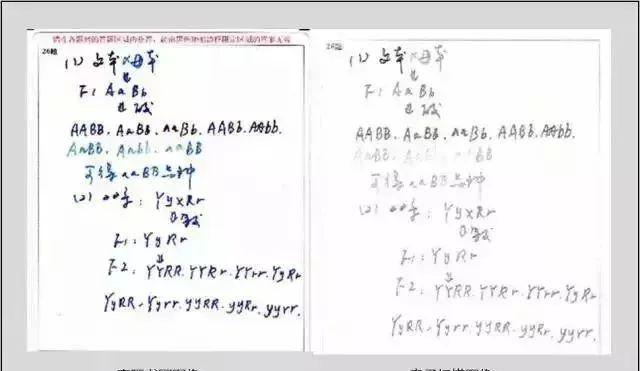 ##中考阅卷曝光:试卷扫描成这样,心惊肉跳!难怪考分比估分低20