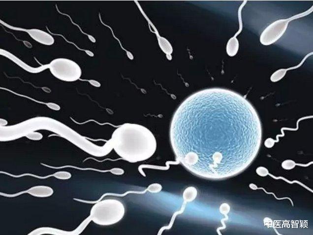 |5亿人口的迁徙，从男性到女性体内，小蝌蚪到底都经历了什么？