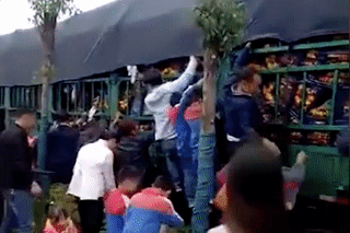 河南商报|货车遭遇事故，7吨猪肉被村民疯抢，车主苦苦哀求也没用....