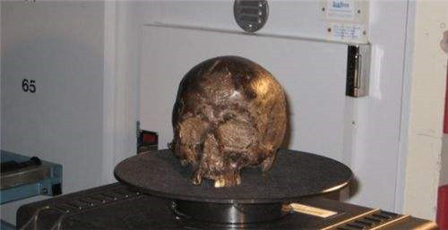 #科学家#英国发现一个“活大脑”，来自于2600年前，它是如何活到现在的？