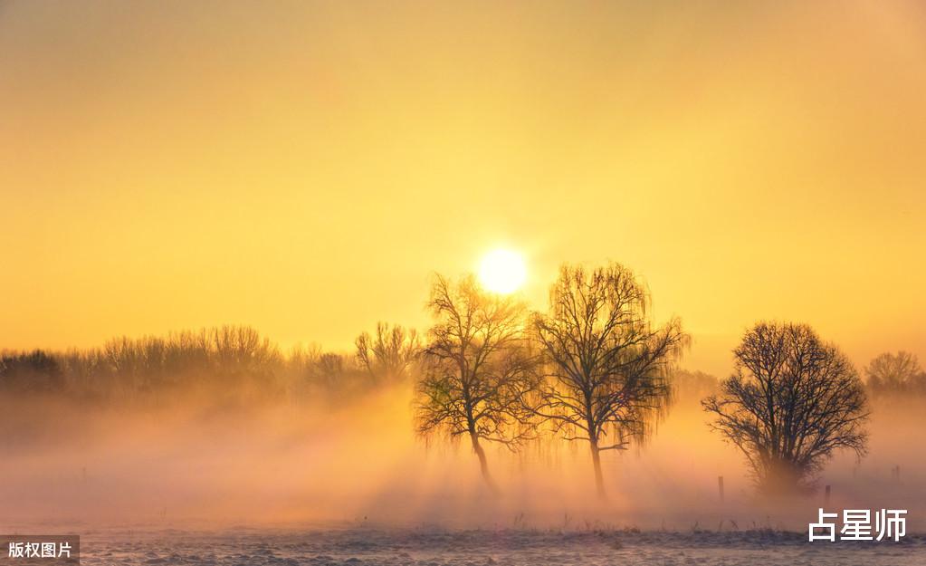 「生肖」（周运）竹猫塔罗_5月12日至18日星座运势：风云激荡