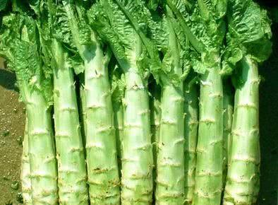 肝脏■肝脏不好的人，若能敞开吃这“3物”，或能养肝排毒，使肝脏疾病远离你！