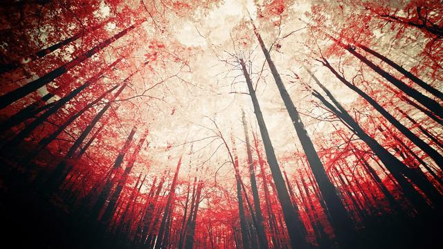 #运势#七天后，正桃花从不间断，这三大星座的恋爱不要错过