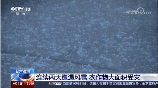 科学家|15个已被激活9个！地球系统或在崩溃中，2020或成关键一年？
