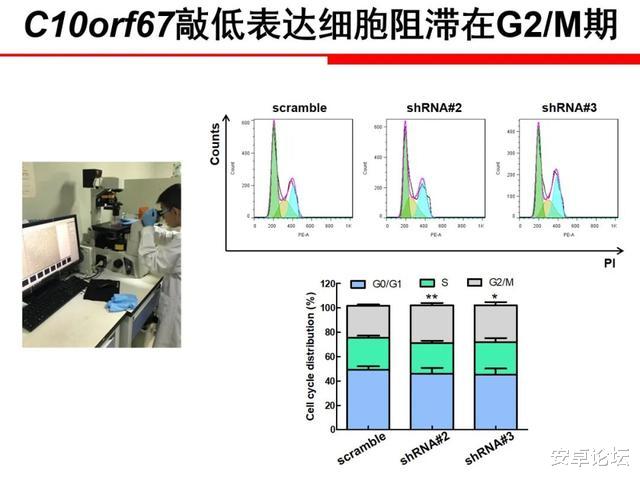 基因|这么羞耻的造假，就该被封杀