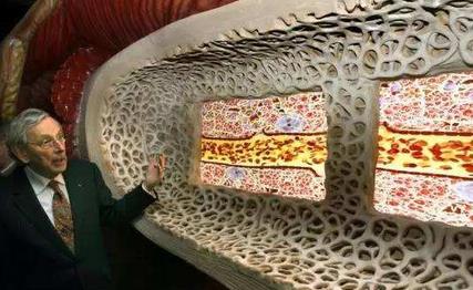 荷兰|荷兰到底多“开放”？当众展示脸红之事，中国游客：难以接受