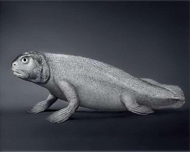 科学家|科学家展示了，人类进化的12张图像，可以看见很清晰的变化