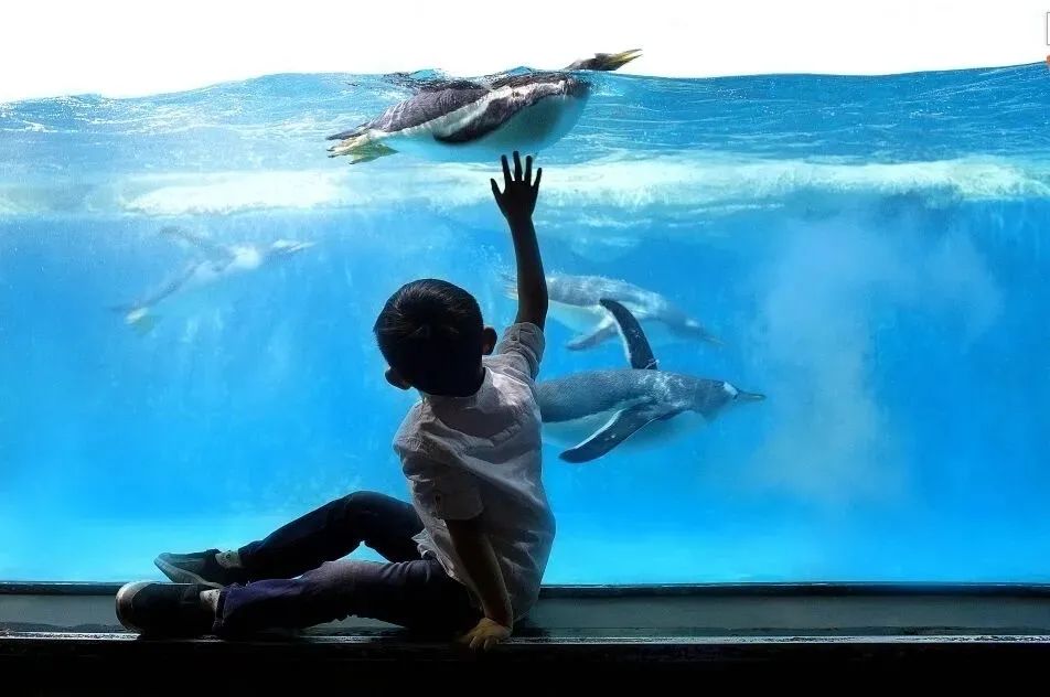 公安部|最高100元!大连继续发放!